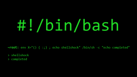 bash-shellshock