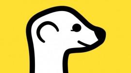 Meerkat come funziona